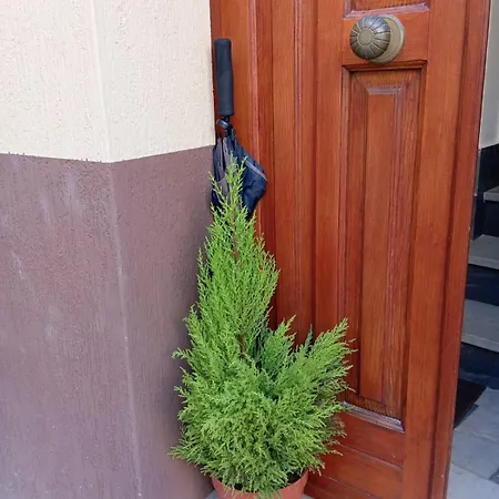 Vakantiehuis Elico Di Sicily B@b *